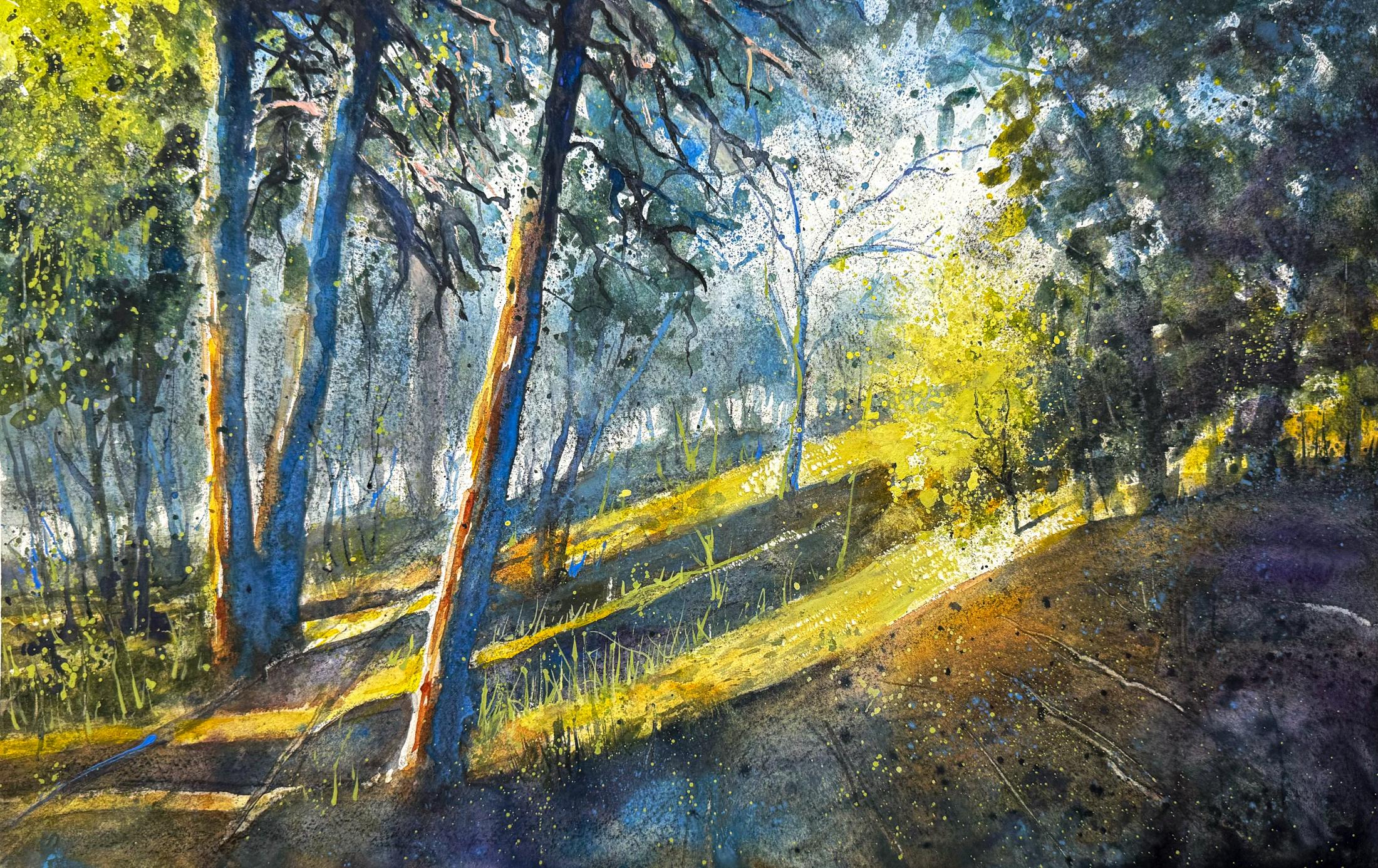 Kvällsljus i skogsbacke i kontrastrika färger