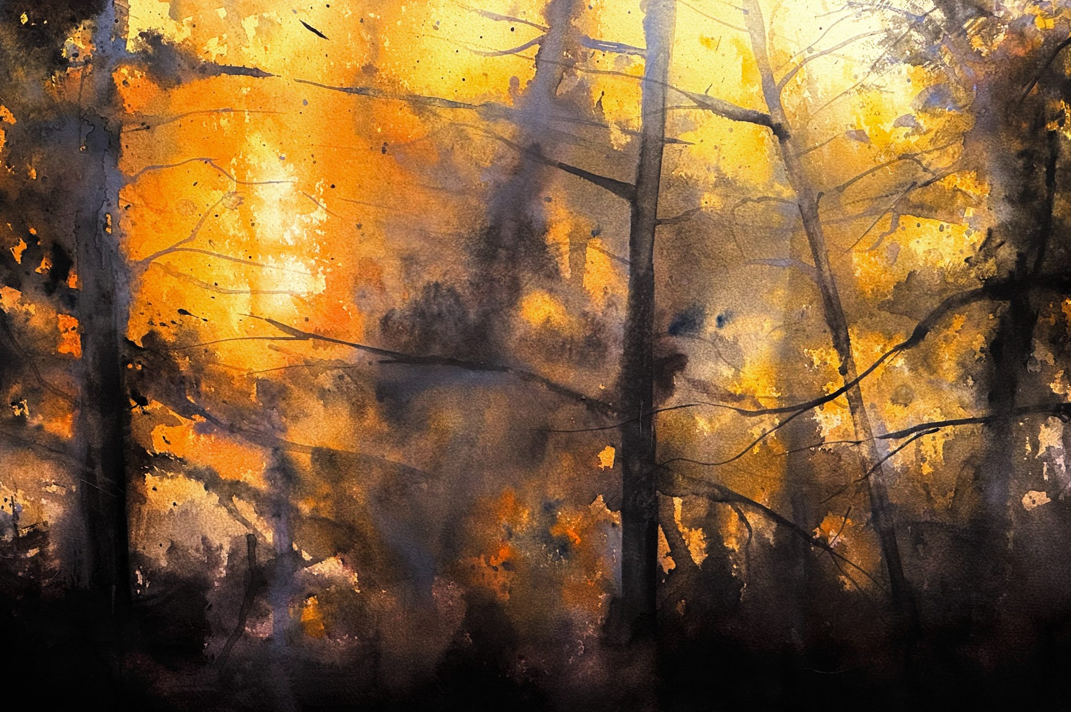 Höstskymning i Humlan 2