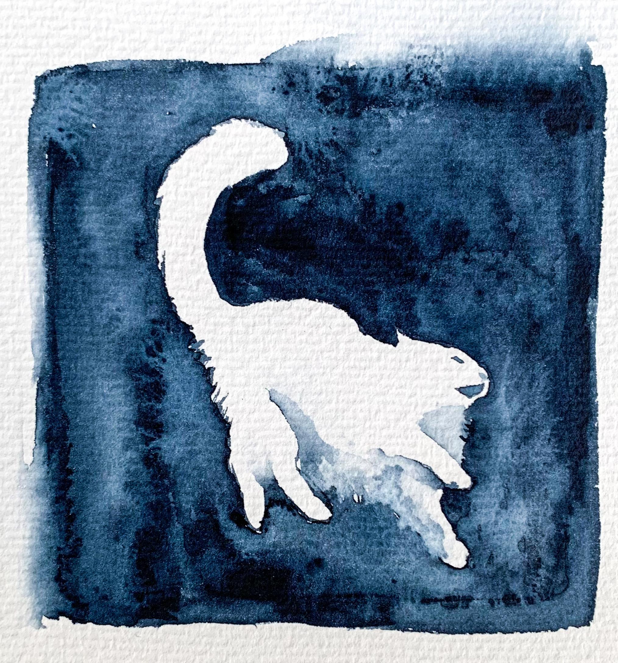 Lilla katten drömmer