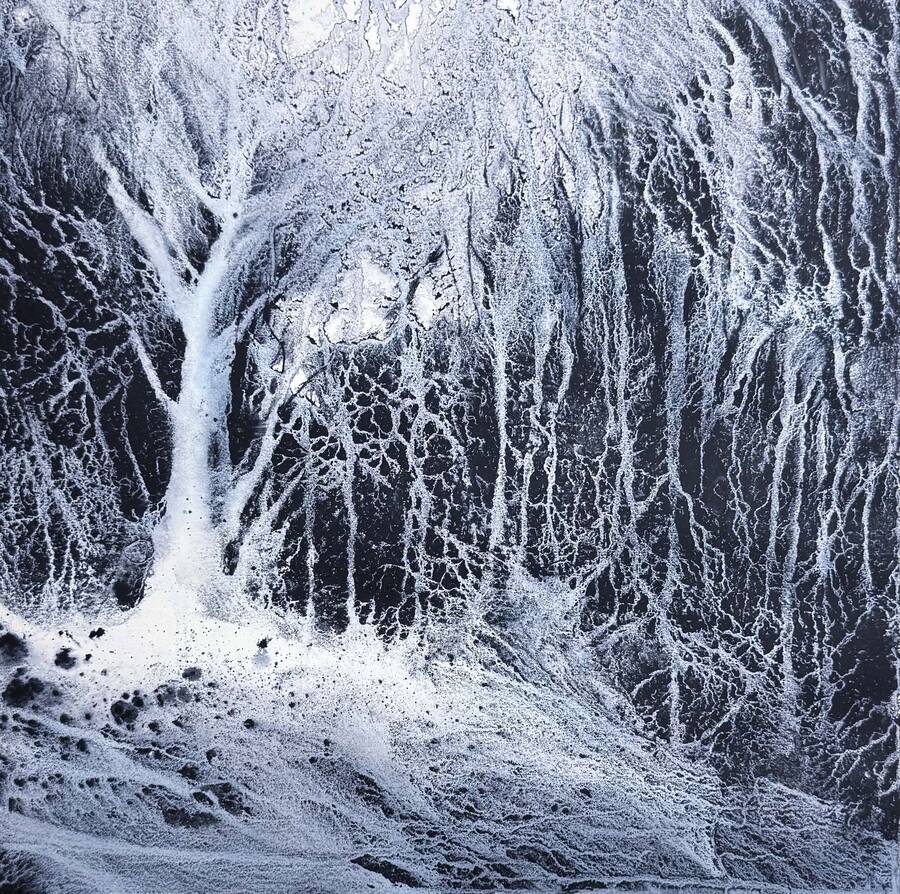 Intrikat skog med utvecklat grenverk av subtila nyanser och texturer