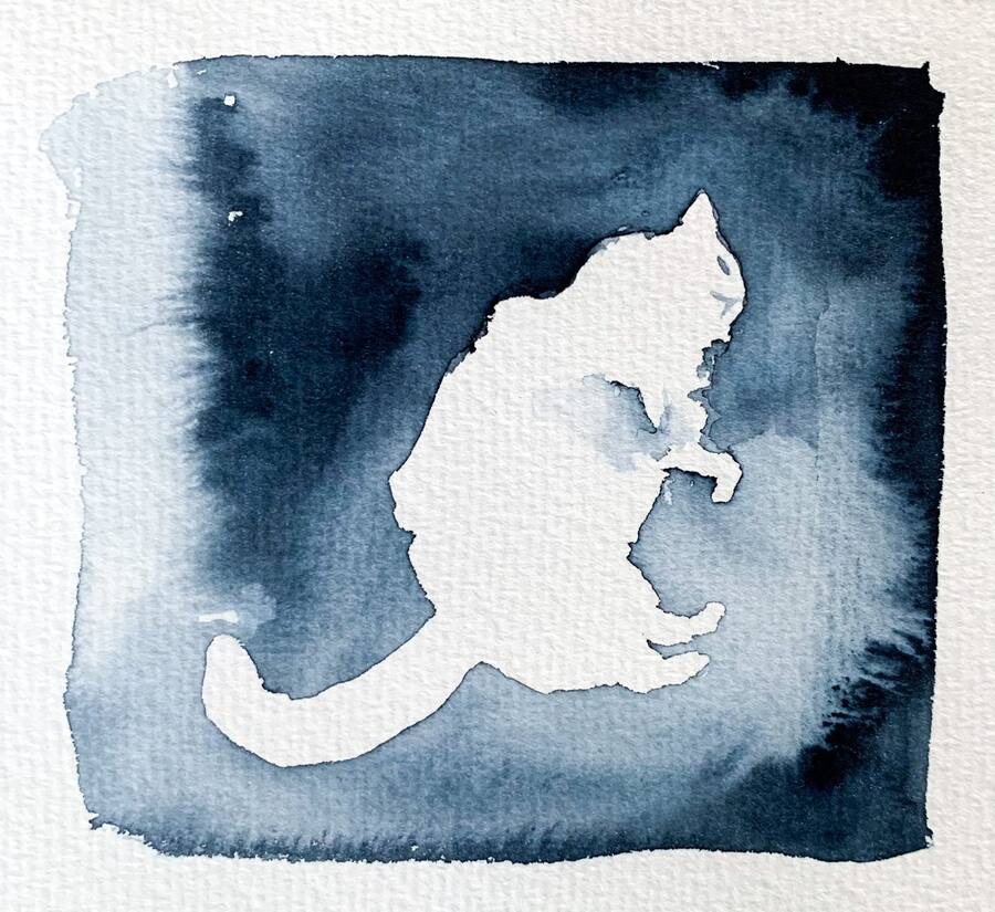 Liten katt i vila med slutna ögon.