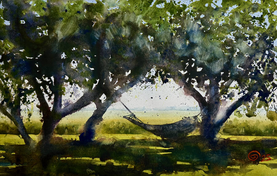 Träd i skugga som öppnar sig mot ett solbelyst fält.