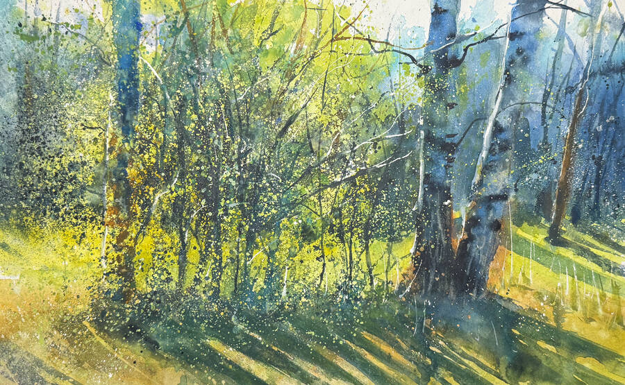 Grenar och vårgrönska sedda genom ett fönster.