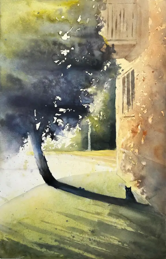 Katt i skuggan av ett träd intill ett bostadshus i Skärmarbrink.