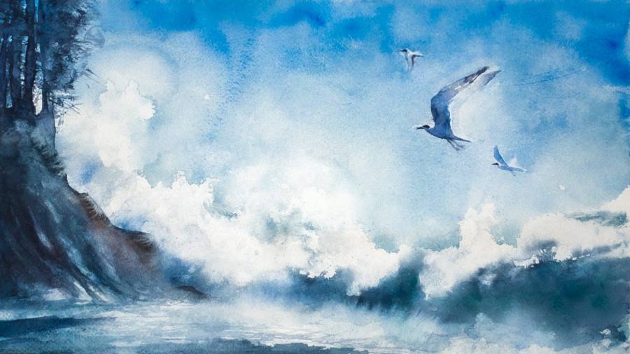 Strandkant och öppet vatten i mjukt kustljus.