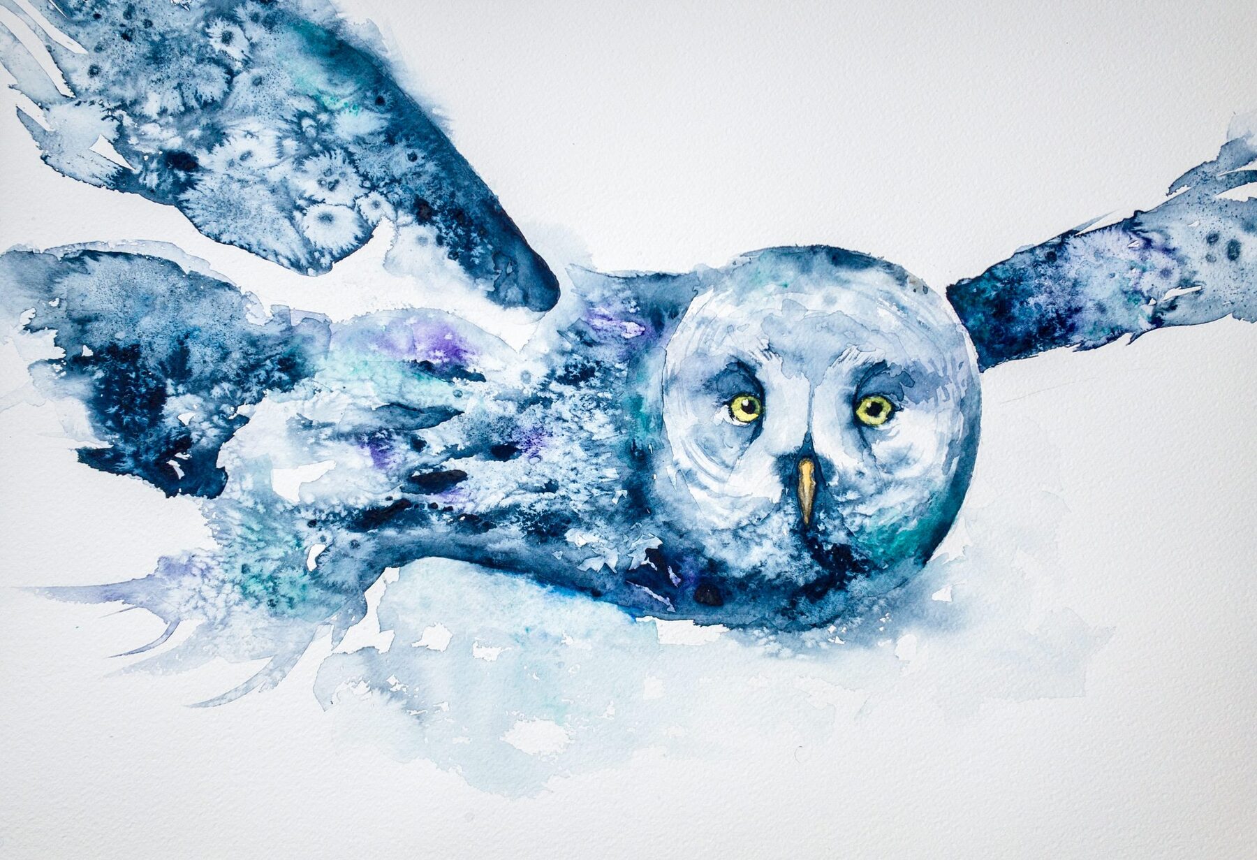 Uggla i akvarell med ljus kropp och mörka ögon.