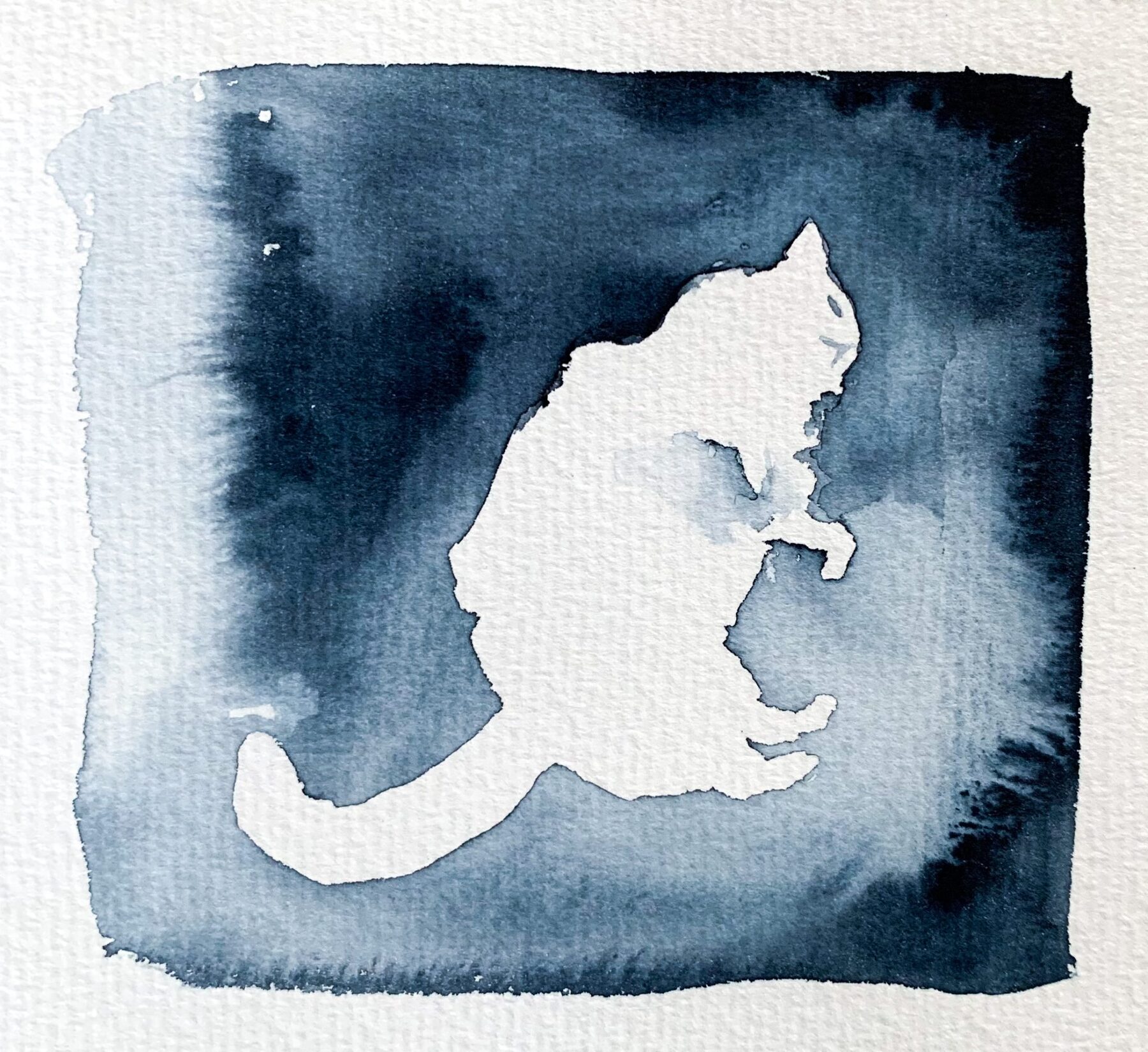 Liten katt i vila med slutna ögon.